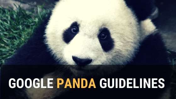 Google panda guidelines