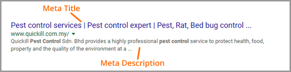 meta tag search result